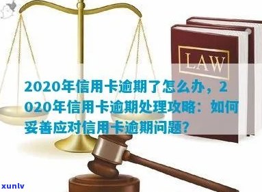 全面逾期的信用卡如何妥善处理：2020年解决方案