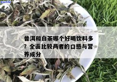 白茶与普洱茶的融合：一杯健饮品的奥秘探究