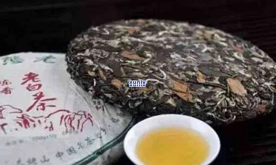 普洱茶加白茶有用吗