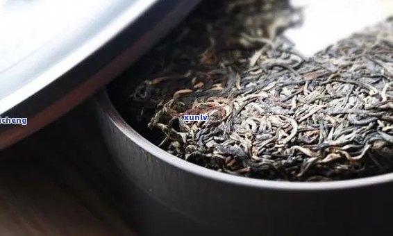 中老期普洱茶交易平台 - 专业普洱茶买卖，古树茶收藏，茶叶批发与零售