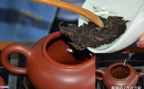 喝普洱茶用什么壶泡