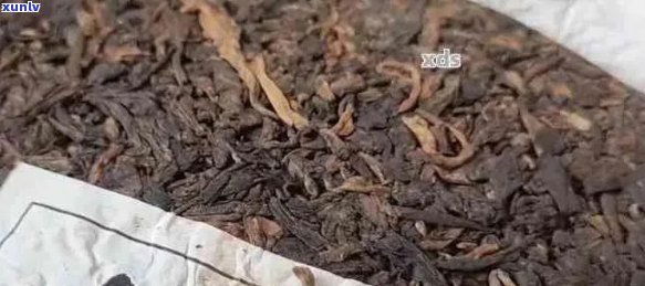 普洱茶保期：如何长茶叶的品质？