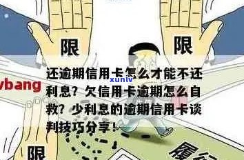 信用卡逾期还款攻略：如何最划算地解决逾期问题并自救？