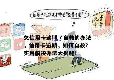 信用卡逾期还款攻略：如何最划算地解决逾期问题并自救？