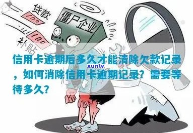 新 信用卡欠款清除时间：如何避免逾期记录长时间存在？