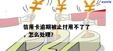 信用卡逾期银行止付问逾期原因的处理 *** 