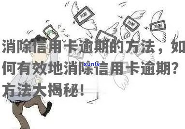 信用卡逾期后如何解除止付并进行还款？详细步骤解析及解决方案推荐