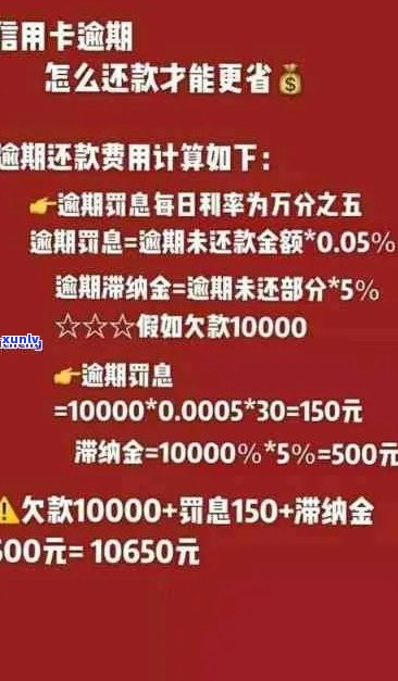 逾期更低还款：含义、计算与区别