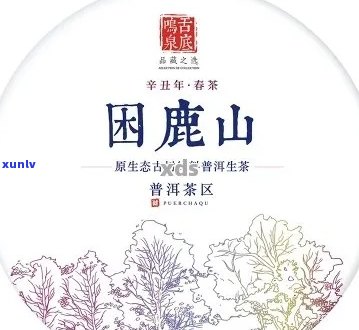 困鹿山普洱茶分几种？特点、价格定位及产区解析，生茶与熟普多少钱一斤？