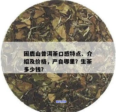 困鹿山普洱茶分几种？特点、价格定位及产区解析，生茶与熟普多少钱一斤？