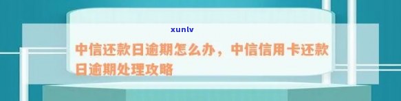 中信信用卡还款逾期半年的影响及处理方式