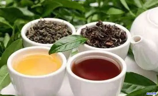 天美仕茶价格是多少，如何选择适合自己口味的茶叶？