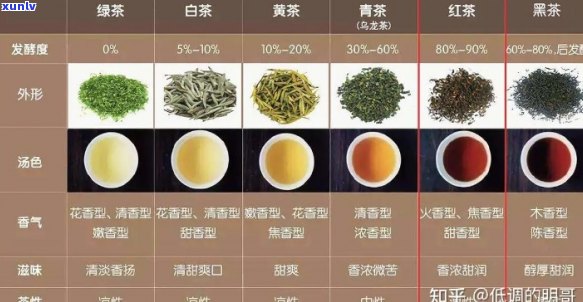 天美仕茶价格是多少，如何选择适合自己口味的茶叶？