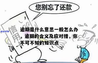 多次逾期是什么意思：如何应对多次逾期问题？多次逾期后果及处理 *** 。