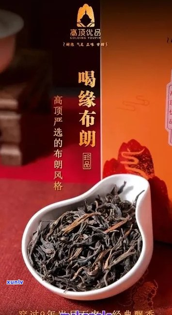 布朗普洱茶：醇厚口感与独特风味的完美结合