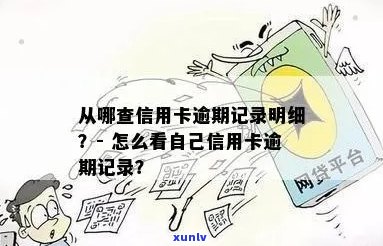 手机信用卡逾期怎么查询记录明细