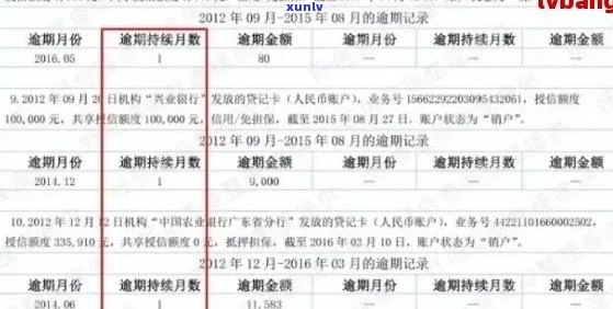 手机信用卡逾期怎么查询记录明细