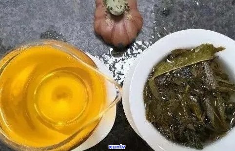 普洱茶变黄了，是否仍然可以饮用？如何辨别和处理变黄的普洱茶？