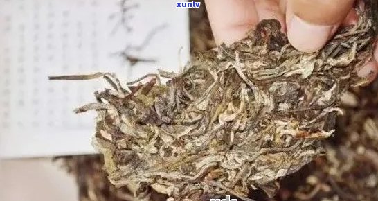 全面解析：如何识别熟普洱茶叶的发霉现象，以及预防措和保存 *** 