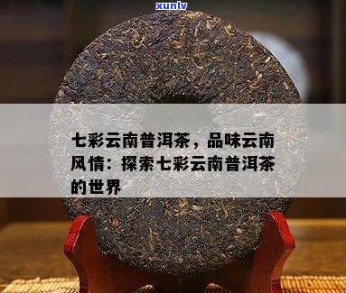 云南普洱茶：品鉴七彩云南的魅力，感受经典的味道