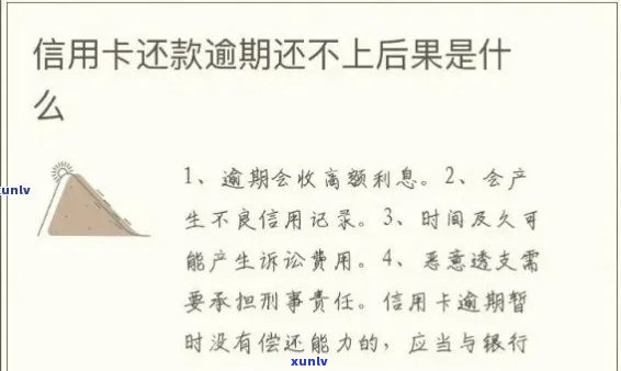 信用卡逾期还款的全面解决策略：原因、影响、补救 *** 和预防措