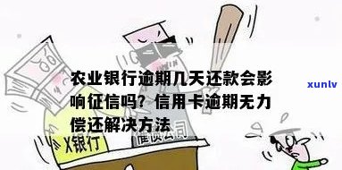 农行信用卡2万逾期无力偿还，如何解决？