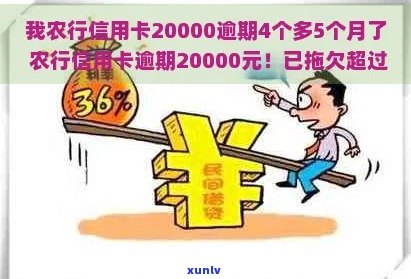 农行信用卡20000逾期4个多5个月了，利息是多少？