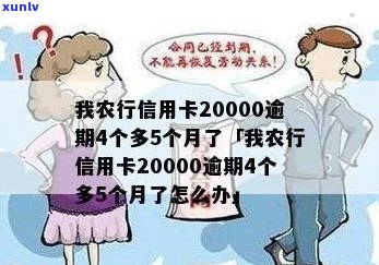 农行信用卡20000逾期4个多5个月了，利息是多少？