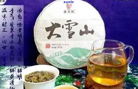 大雪山普洱茶的产地及特点和口感，多少钱一斤？