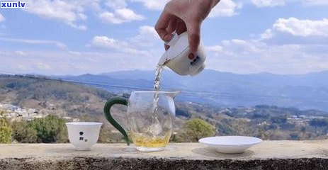 新 '大雪山普洱茶：源自哪个独特茶区的醇厚风味'