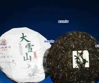 大雪山普洱茶：独特风味、品种特性及品饮技巧的全面解析