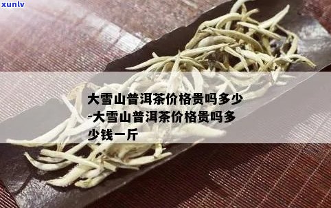 大雪山普洱茶多少钱一斤：特点、口感与价格全解析