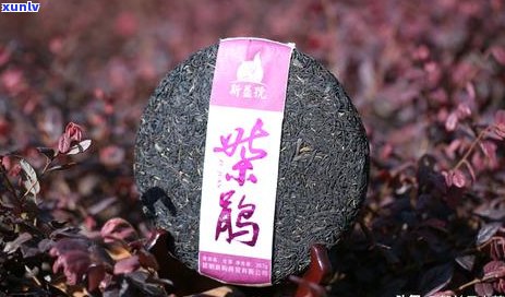 50年陈普洱茶：是否值得尝试？品质与口感的探究