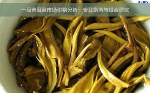 普洱茶50年陈化价值评估：影响因素、市场行情与投资建议全解析