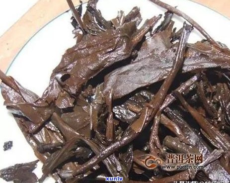 普洱茶的煮和泡有什么不同？全面解析两者的区别与特点