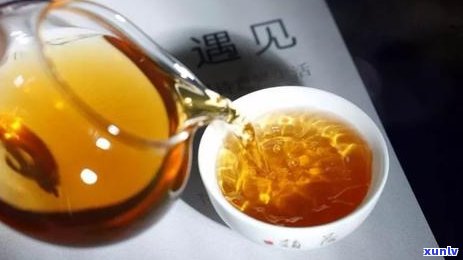 普洱茶的煮和泡有什么不同？全面解析两者的区别与特点