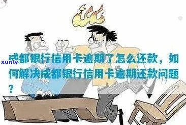 成都信用卡使用风险与逾期还款解决策略探讨