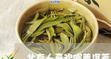 北京人喜欢喝普洱茶吗？为什么？