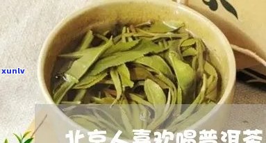 北京人喜欢喝普洱茶