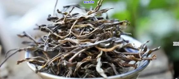 普洱茶茶叶杆对品质的影响：好茶还是坏茶？