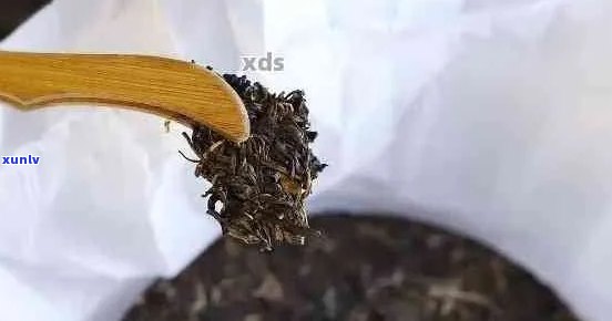 普洱茶茶叶杆对品质的影响：好茶还是坏茶？