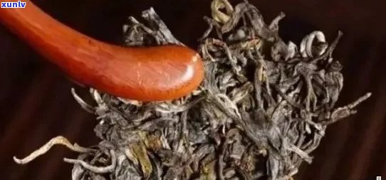 探秘普洱茶：茶杆子在其中的独特魅力与作用