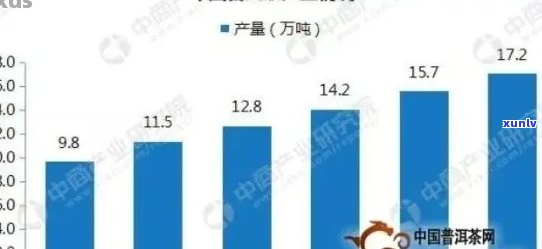 普洱茶饼20年价格趋势、品质分析与购买建议：一个全面指南