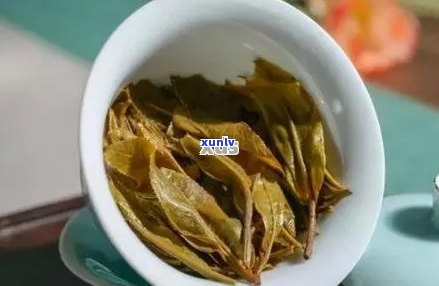 大益班章普洱茶：最新价格解析与品鉴指南