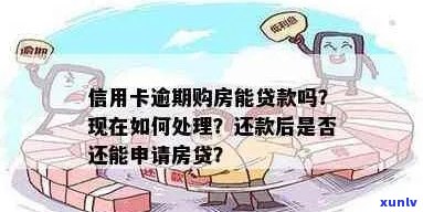 逾期信用卡和花呗是否会影响购房贷款的申请条件及处理方式？