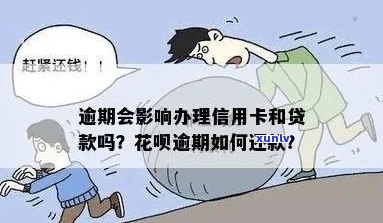 信用卡和花呗逾期还款后如何贷款？解决办法一网打尽！