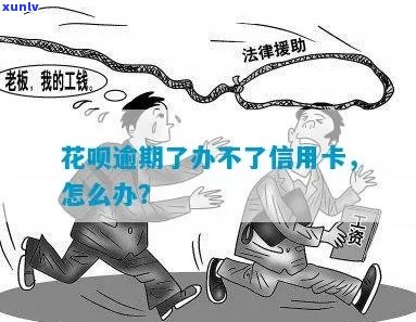 信用卡花呗逾期怎么办