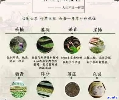 新 番顺茶业的普洱茶：独特风味、精工艺与健益处的综合体验