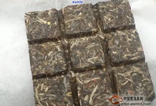 大益普洱茶九二方砖价格、品质、年份及鉴别真伪对比