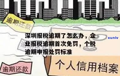 探索普洱茶源头：老罗店铺如何精选优质茶叶进货？